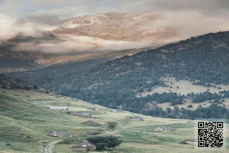 德國噯呵(香港)國際母嬰用品安全有限公司