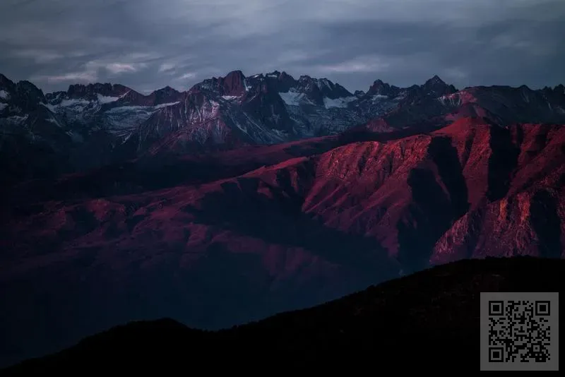 勵進國際發展有限公司