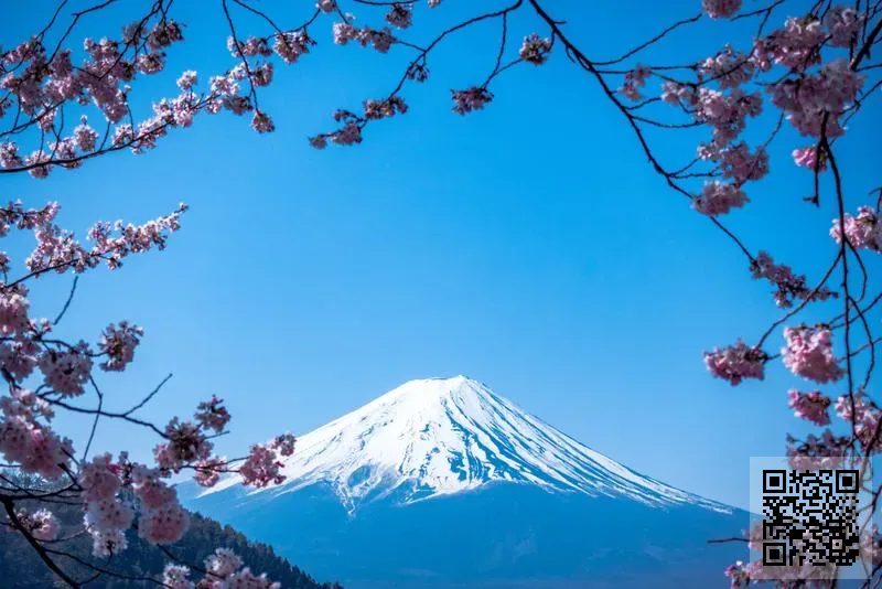 泰達集團控股有限公司