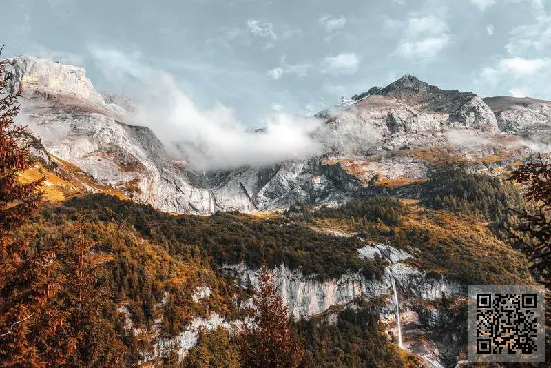 維利室內設計有限公司