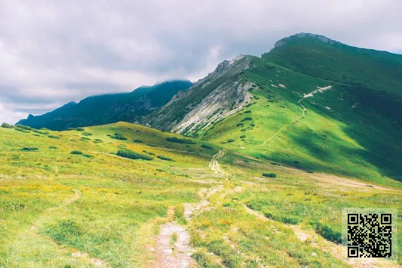 遠睿環球(香港)有限公司