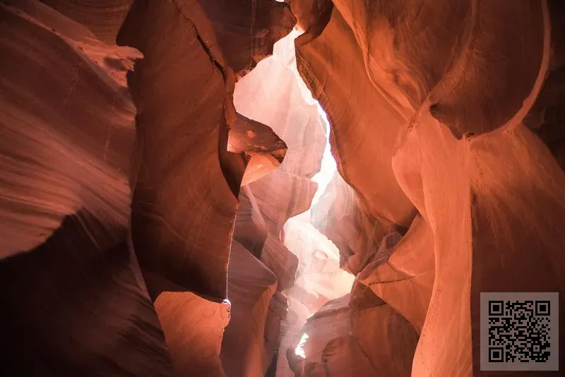 QUALIA TECHNOLOGY LIMITED