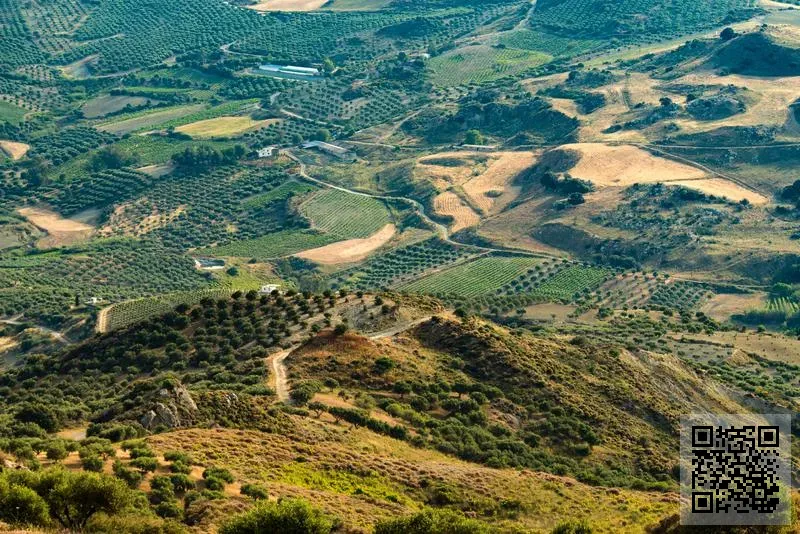 香港長城潤滑油有限公司