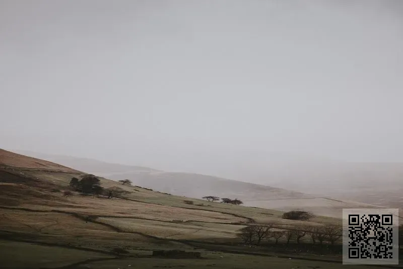 STYLISH TECH LIMITED