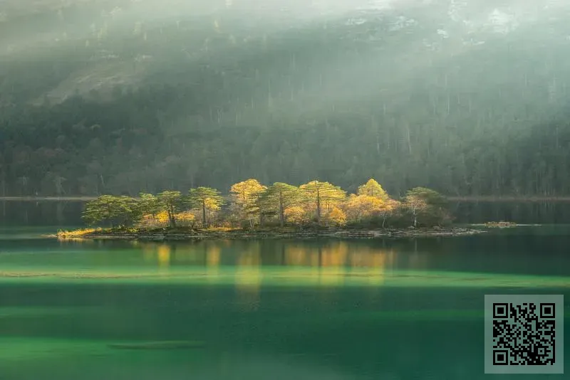 日本代購店 — 新宿屋有限公司