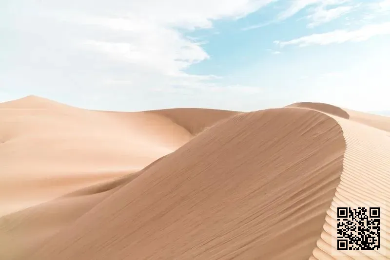 訾騏國際(重慶)有限公司