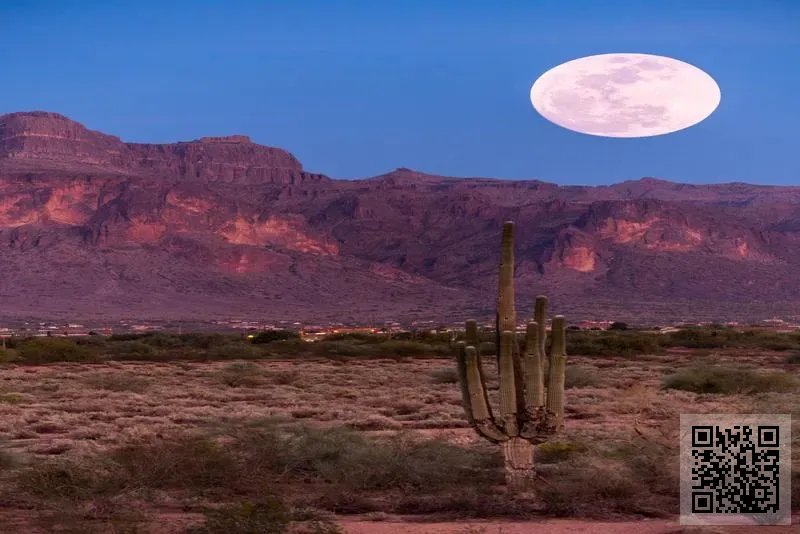 香港佰恒航運有限公司
