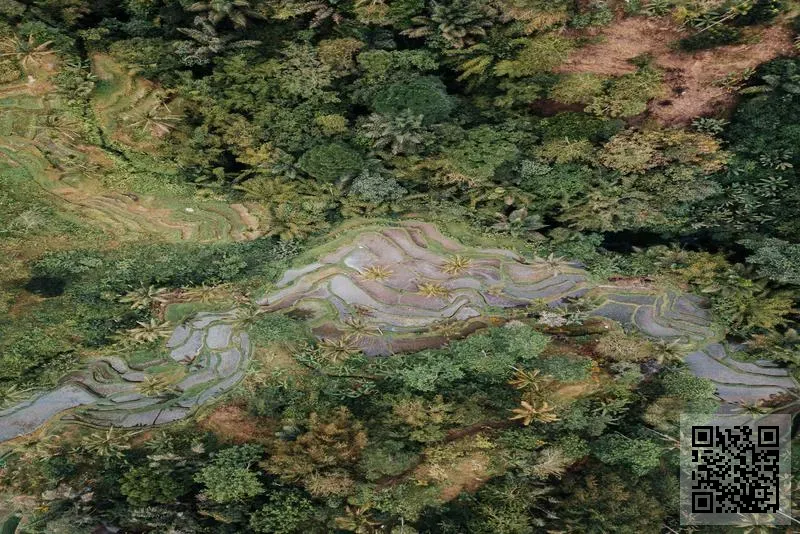 香港美欣聚投資管理有限公司