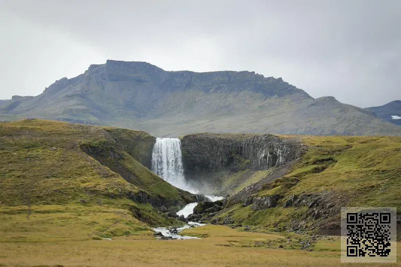 睿策會計師事務所有限公司