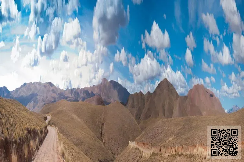 綠節同心有限公司