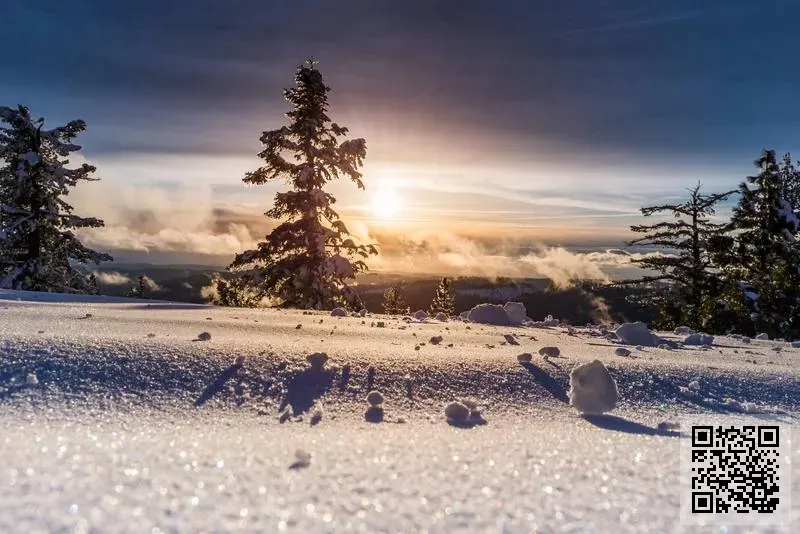 愽盛達有限公司