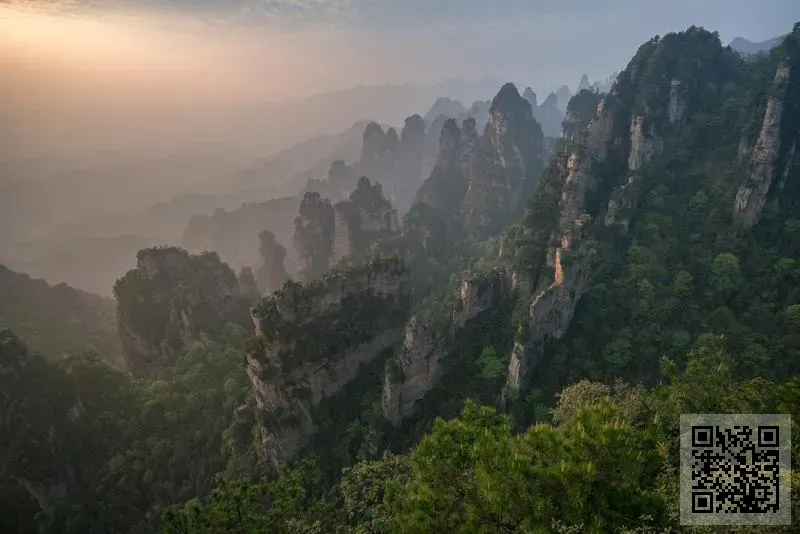 寶應(香港)同鄉會有限公司