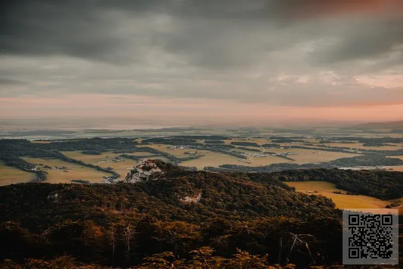 海洋世界企業有限公司