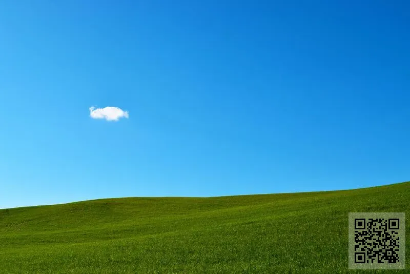 香港琪嵐貿易有限公司