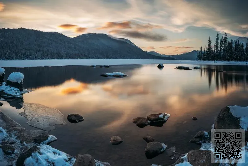 漢唐投資貿易有限公司