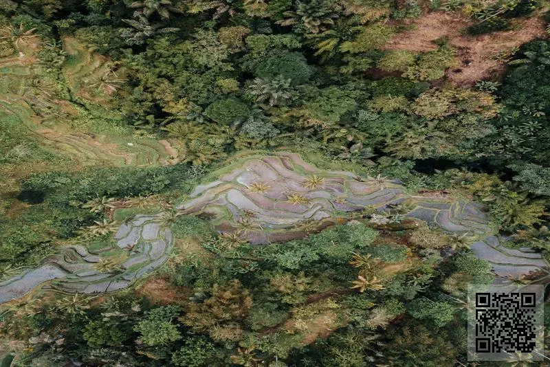 分享全球(香港)貿易有限公司