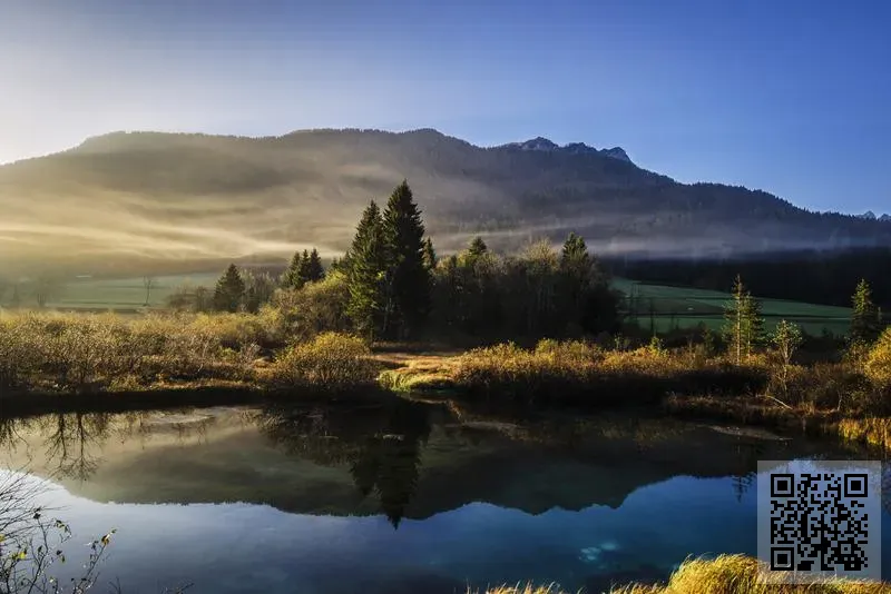 APP GROUP ASIA LIMITED