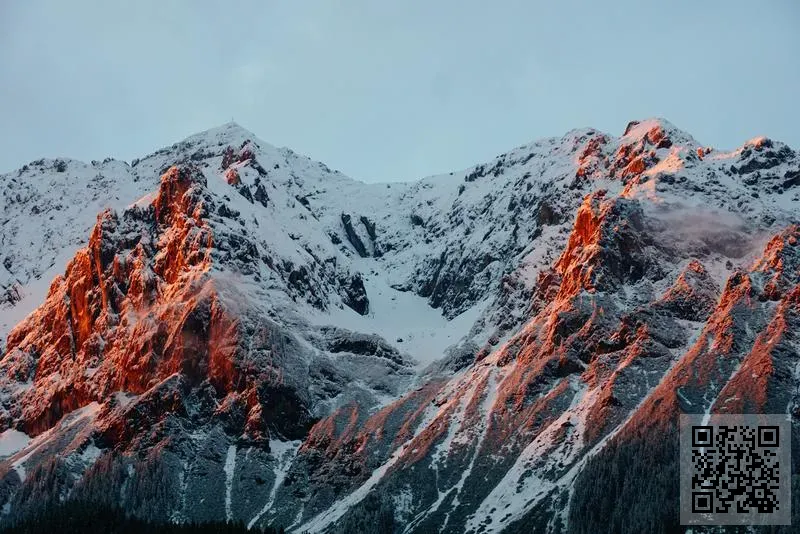 Upnext Technology Limited