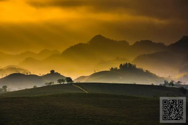 源溢企業有限公司