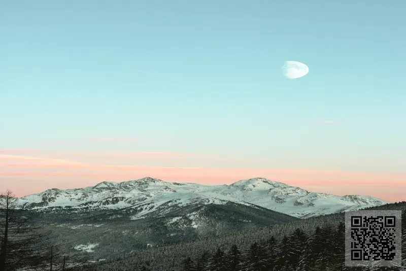 BIZOFFER INTERNATIONAL COMPANY LIMITED