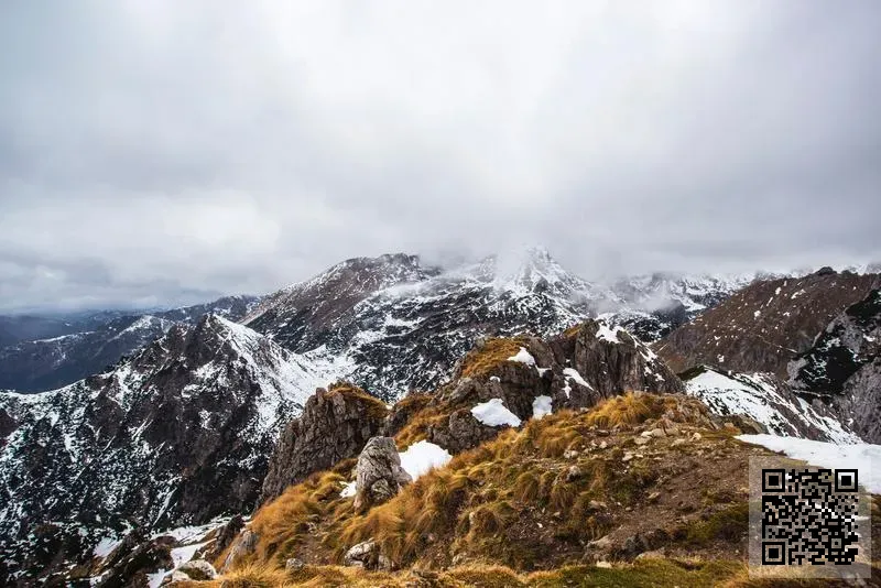 富田資本管理有限公司