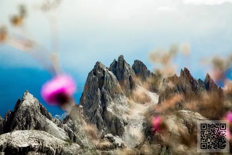 芯泰國際集團有限公司