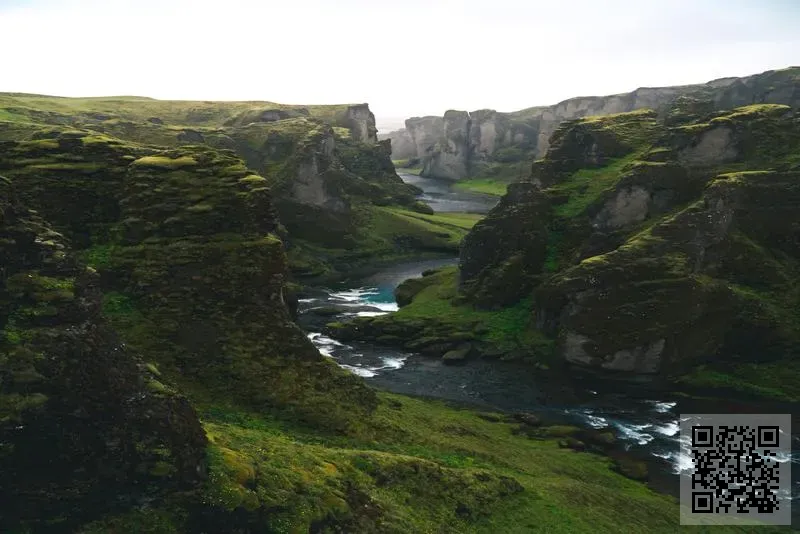 FRONTIER WISH INTERNATIONAL LIMITED