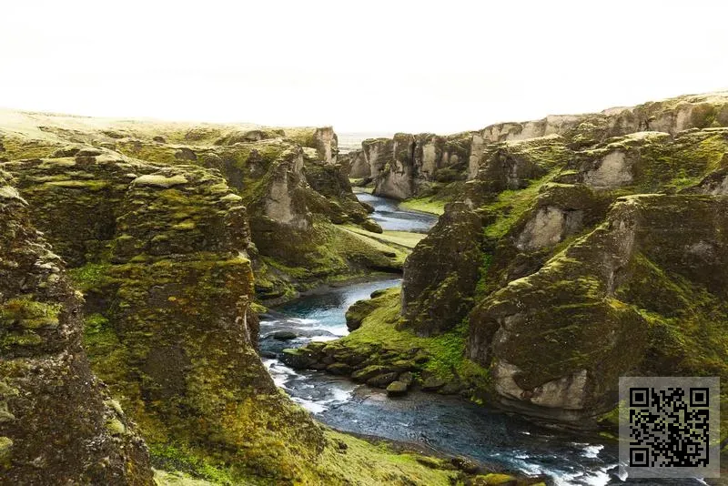 譽航海運有限公司