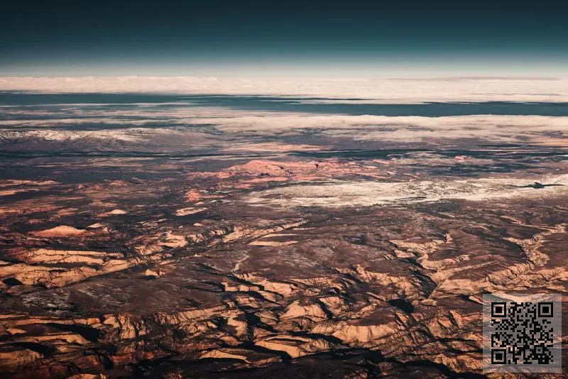 農圃道官立小學校友會有限公司