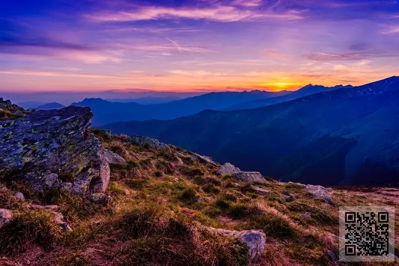 美國默沙東(亞洲)有限公司