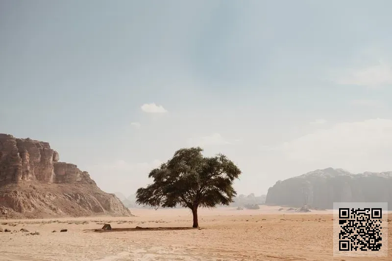 IBAAKU HERITAGE CO., LIMITED