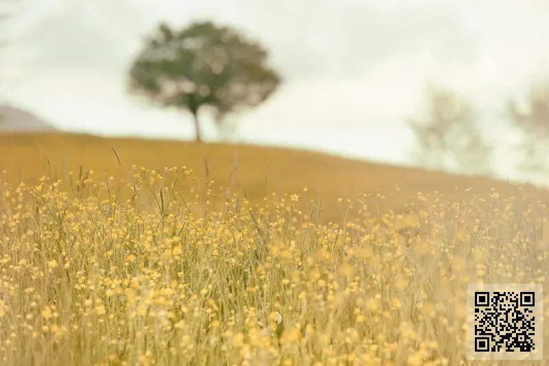 S&H INTERNATIONAL CORPORATION LIMITED