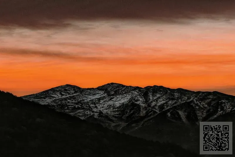 MEDIA PLUS PUBLISHING (HK) LIMITED