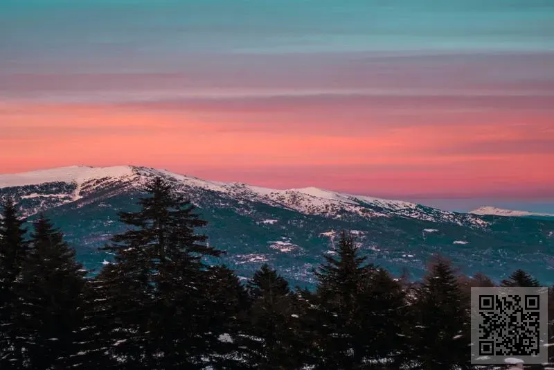 名立國際有限公司