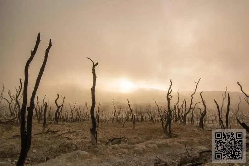 F & S DAE YANG COMPANY LIMITED