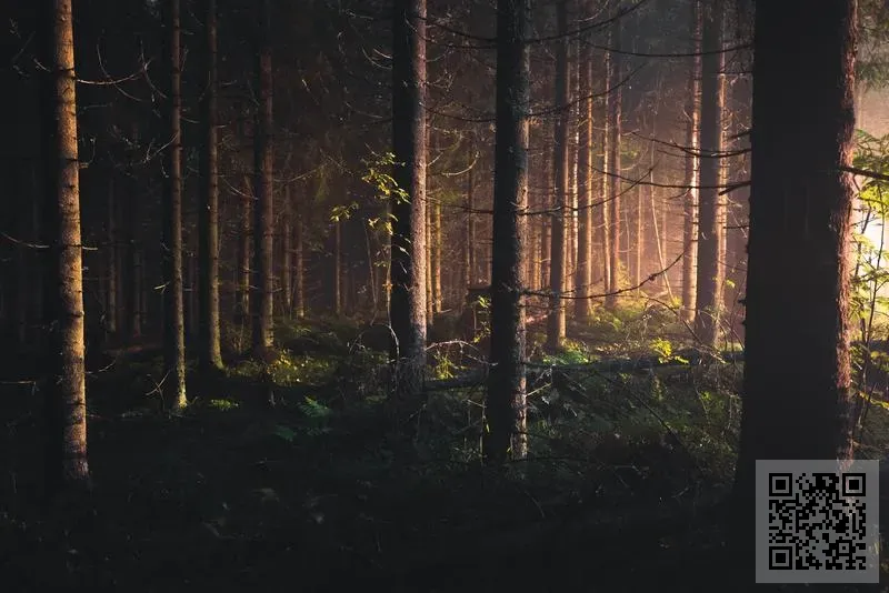 鑫鉅股份有限公司