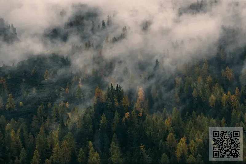 丞佳控股有限公司