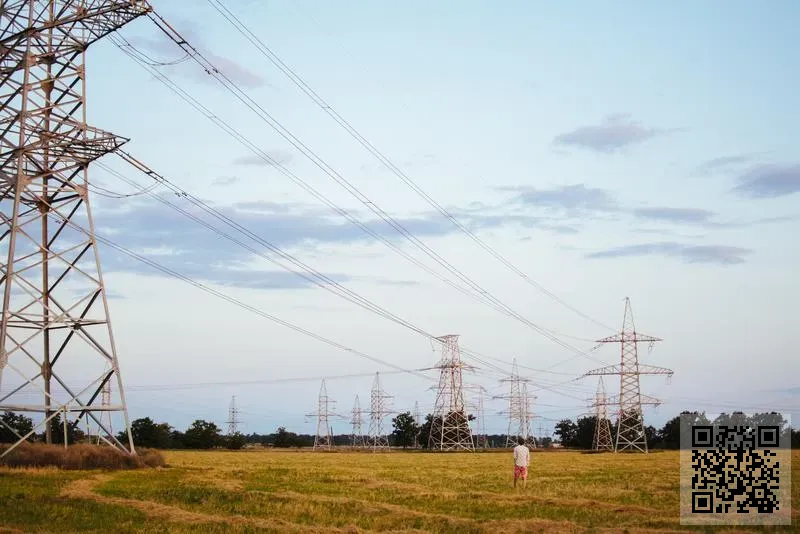 TRANSLINK TRADING LIMITED