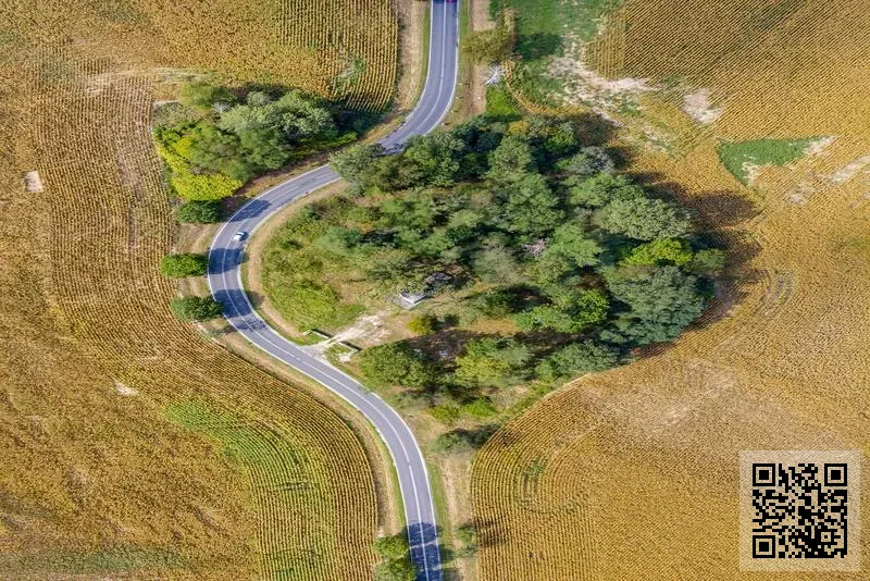 金四季資本有限公司