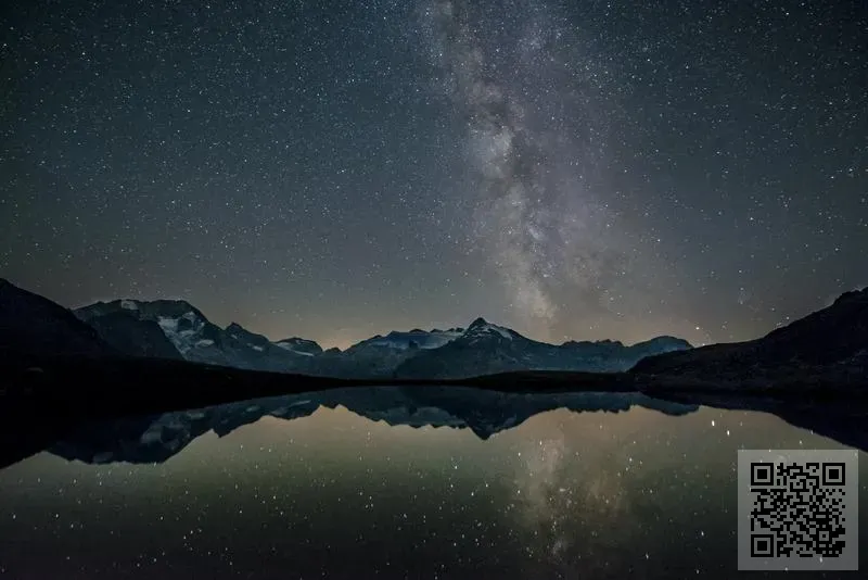 成光國際貿易有限公司