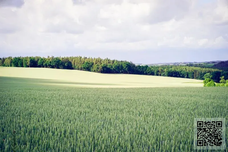 GREEN ECOLOGICAL ENGINEERING LIMITED