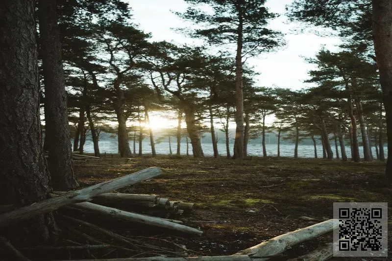 信達設計工程有限公司