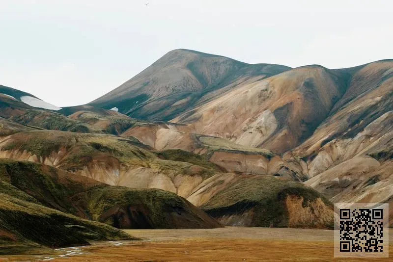 德道科技有限公司