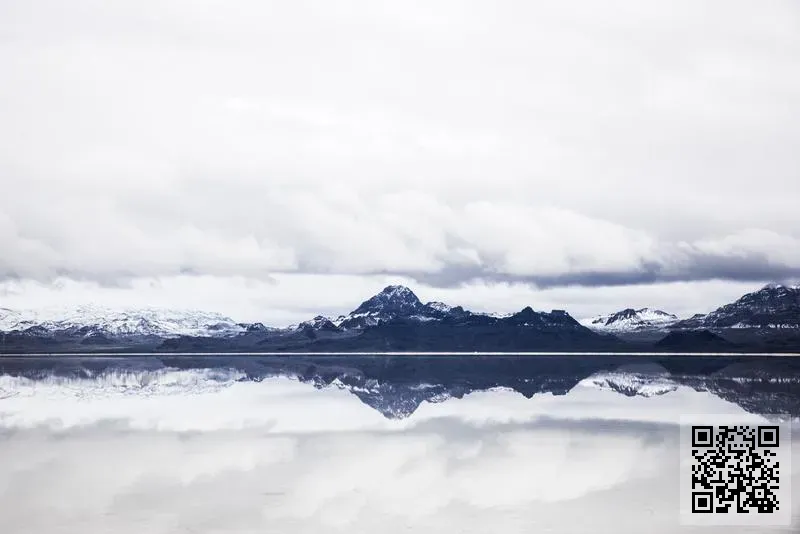 Unique Machines Trading Limited