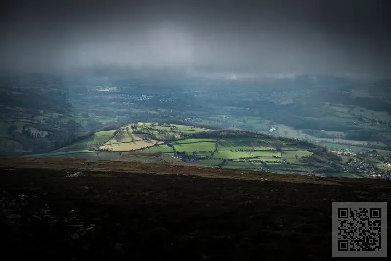 Brand X Concept Limited