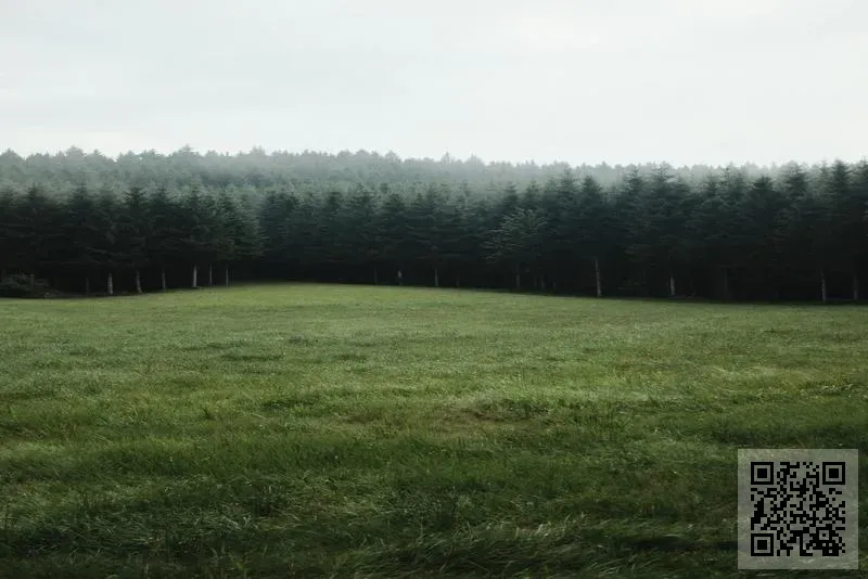 香港優質禮品有限公司