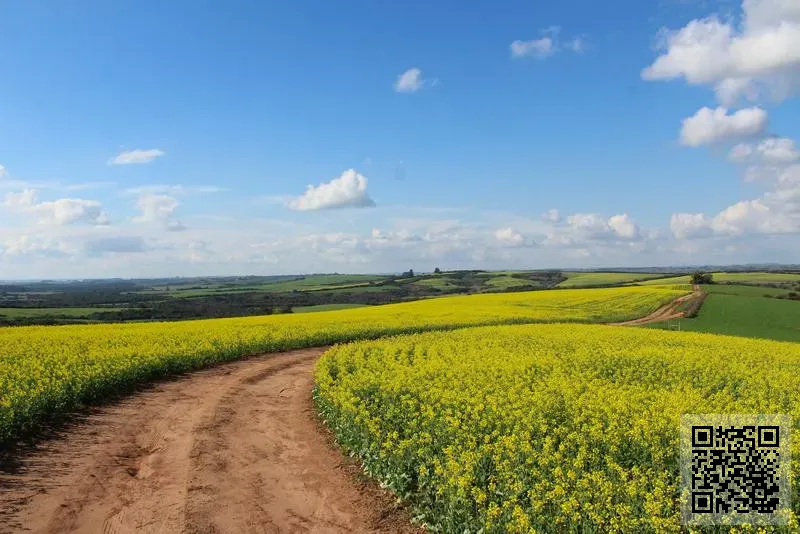 易易壹信貸有限公司