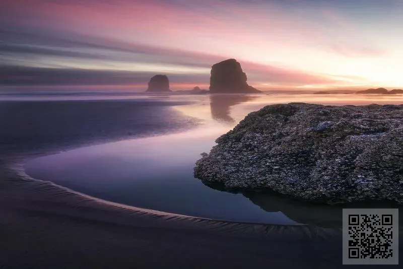 盛世鼎元集團有限公司