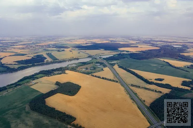 VIOLETA & JESSICA CO., LIMITED