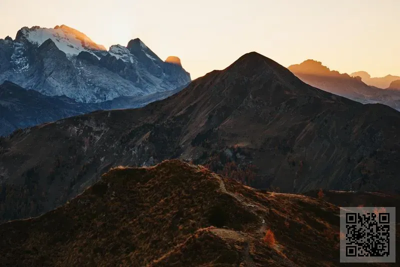 長陽科技(香港)有限公司